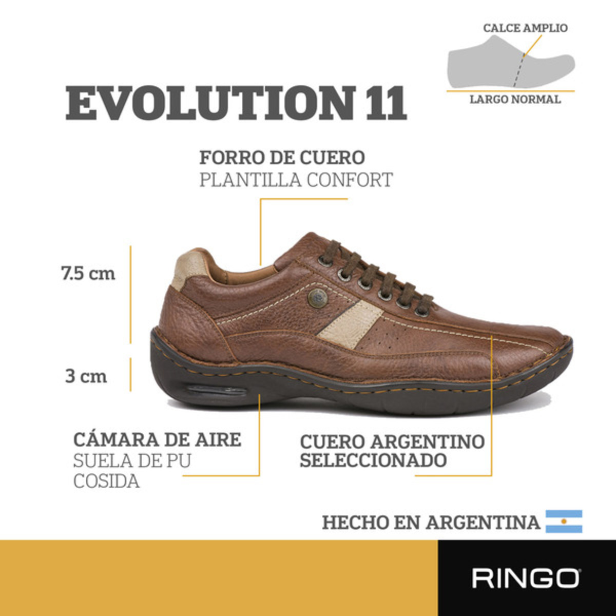 EVOLUTION 11